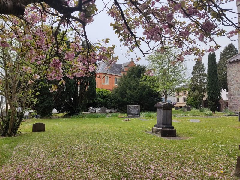 No, Jesus Didn't Cry for Lazarus (A Counter-Argument)